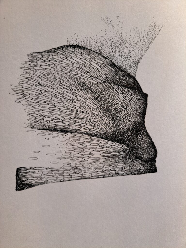 Dessin du jour, lucie delperie101