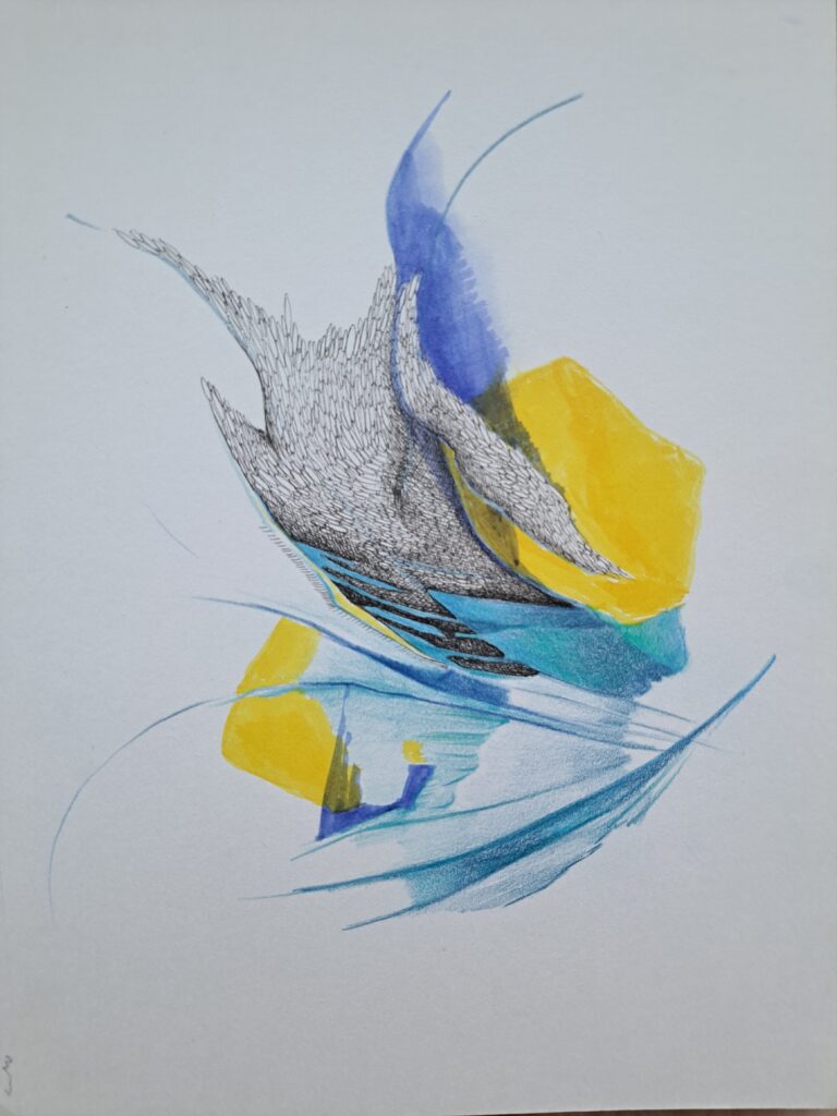 Dessin du jour, lucie delperie102