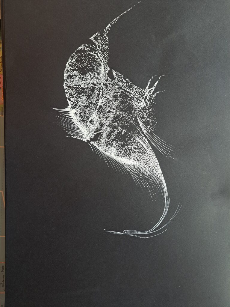 Dessin du jour, lucie delperie103