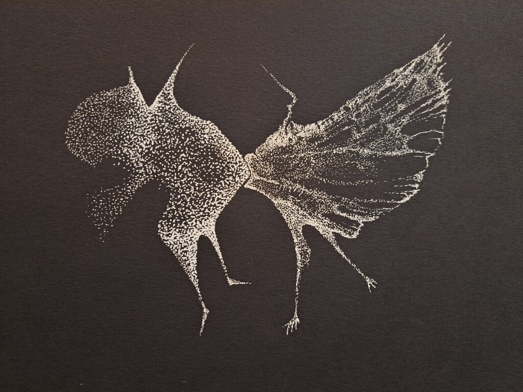 Dessin du jour, lucie delperie104