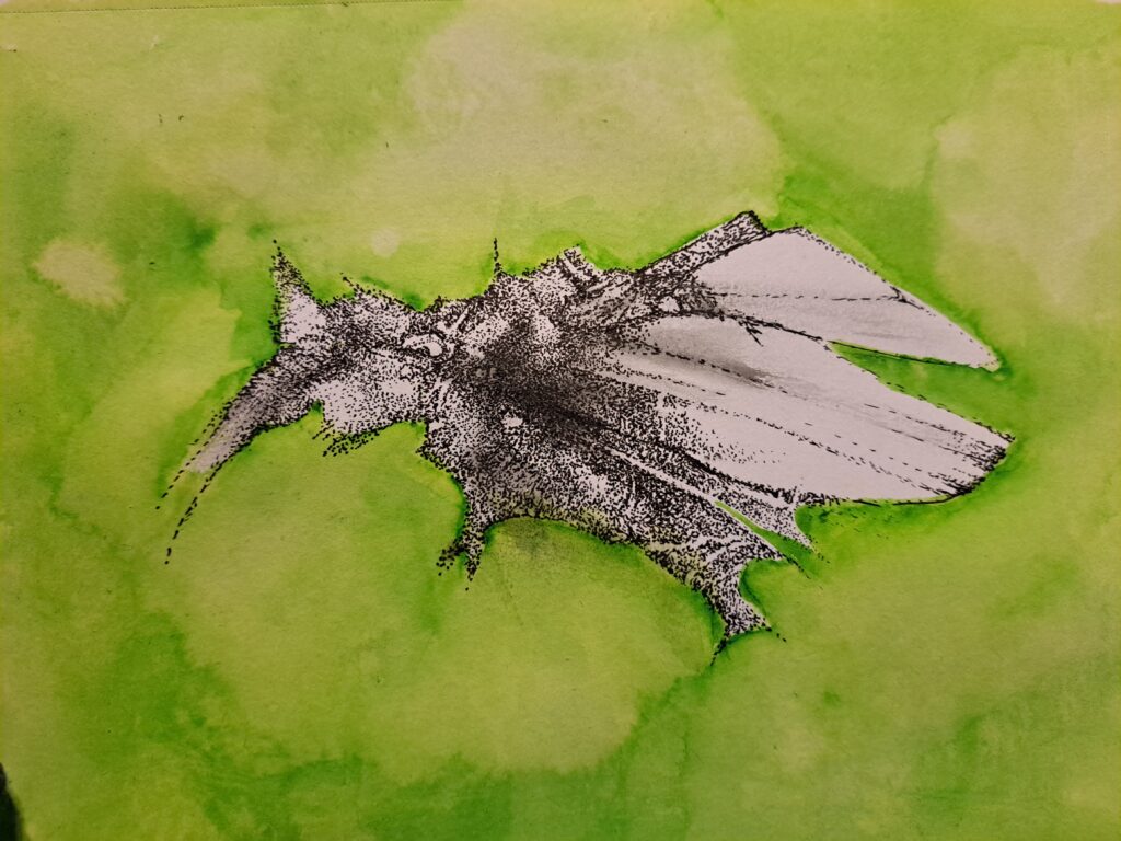 Dessin du jour, lucie delperie106