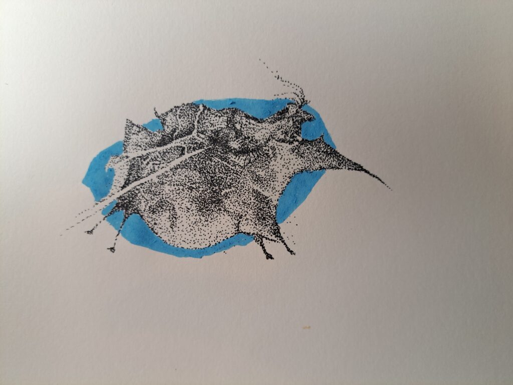 Dessin du jour, lucie delperie107