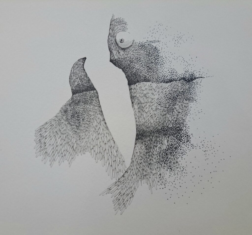 Dessin du jour, lucie delperie113