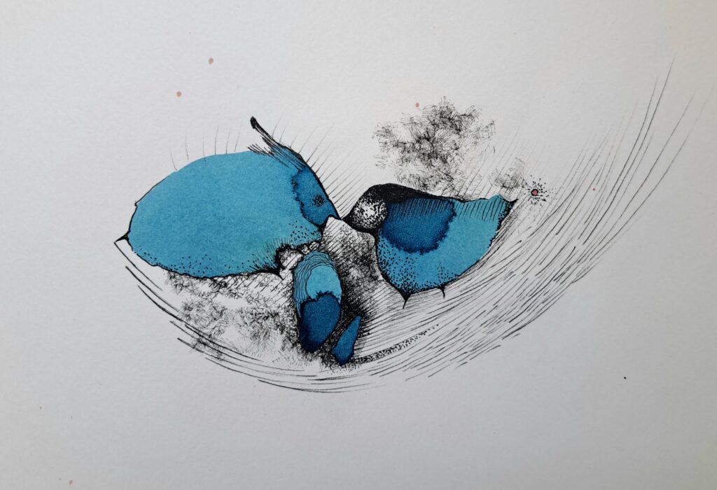 Dessin du jour, lucie delperie119