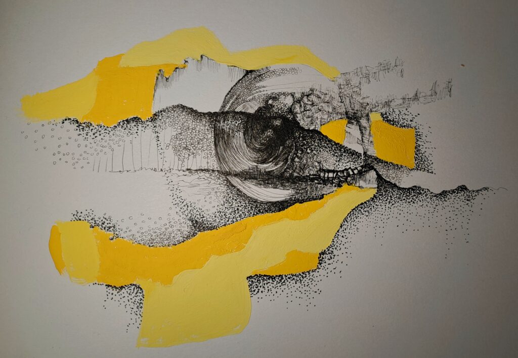 Dessin du jour, lucie delperie18