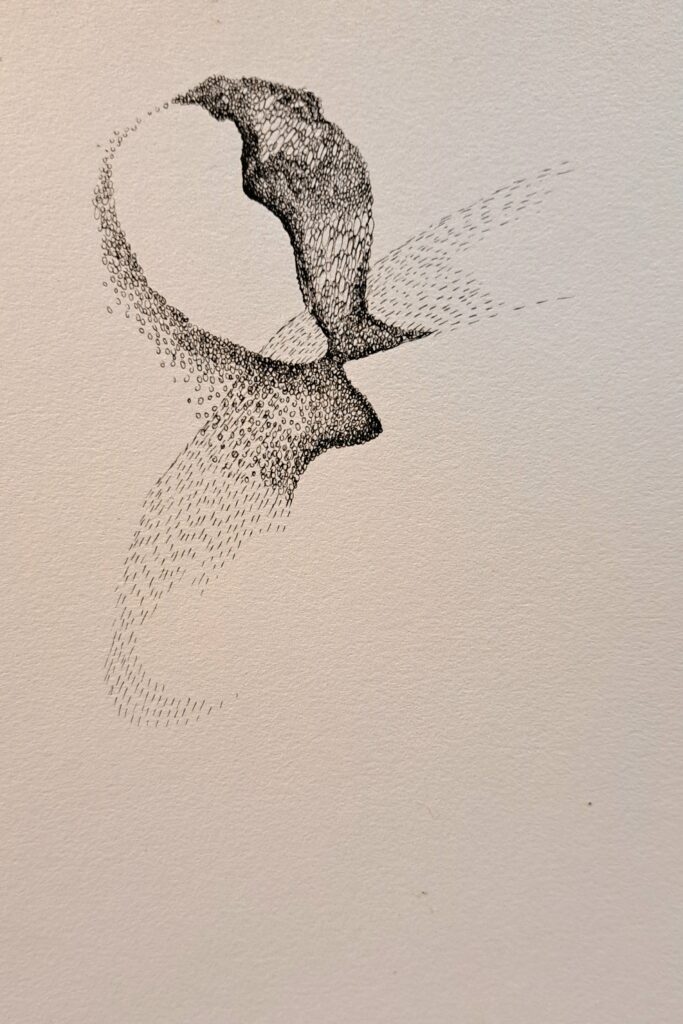 Dessin du jour, lucie delperie32