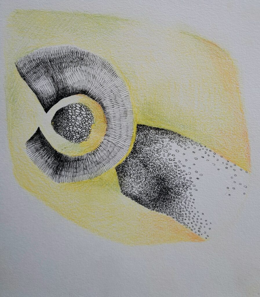 Dessin du jour, lucie delperie37