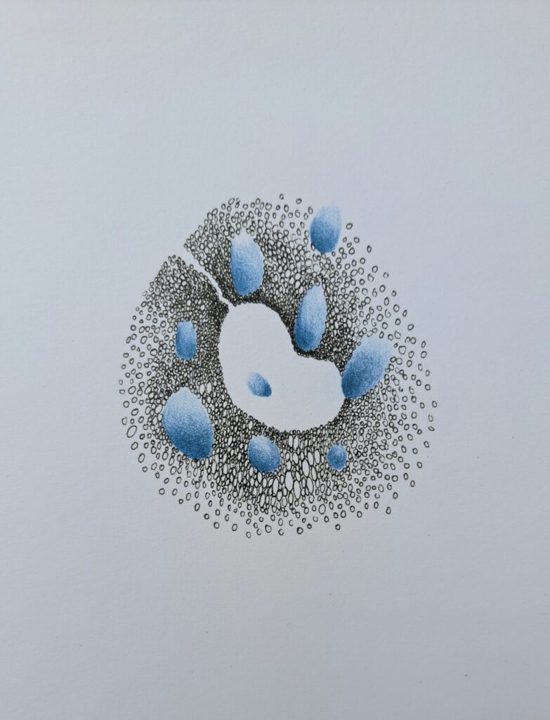 Dessin du jour, lucie delperie4
