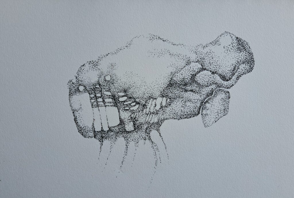 Dessin du jour, lucie delperie46
