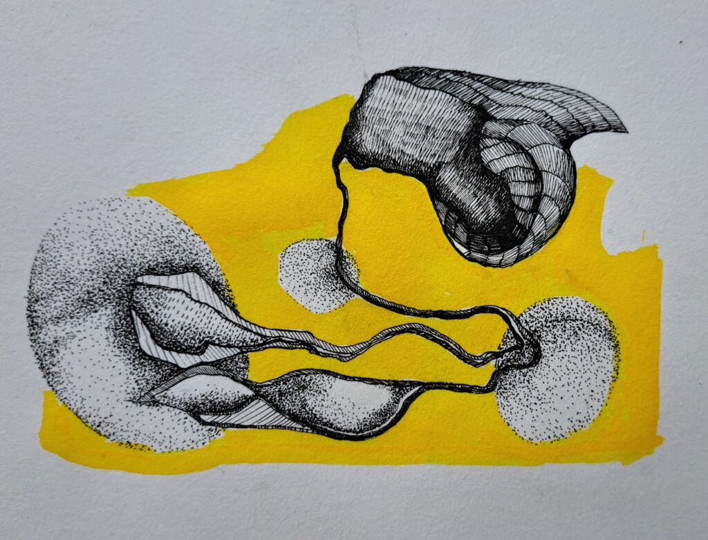Dessin du jour, lucie delperie48