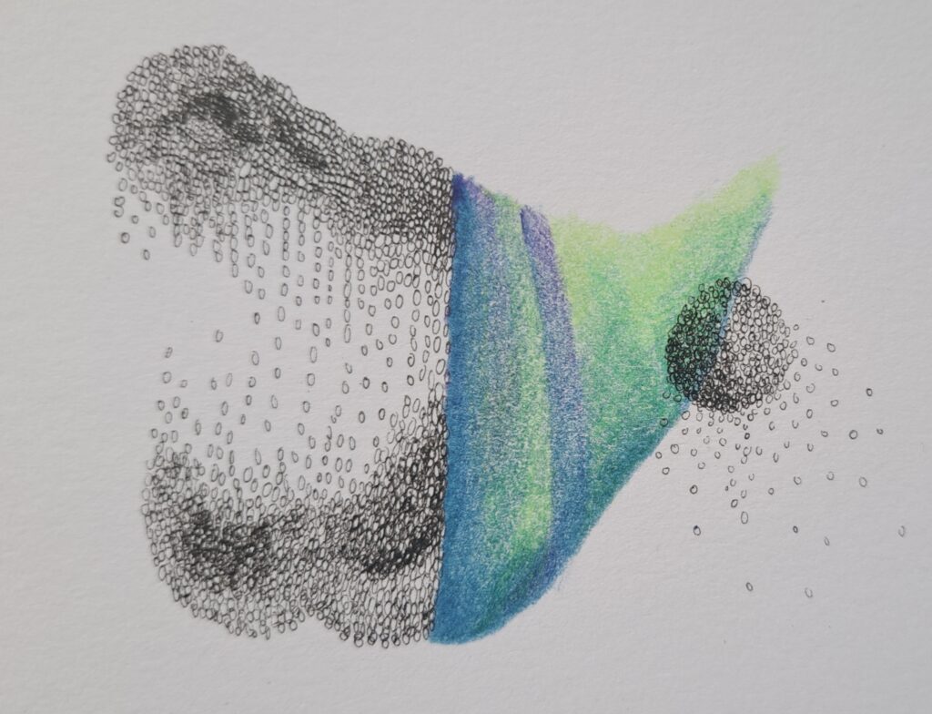 Dessin du jour, lucie delperie5