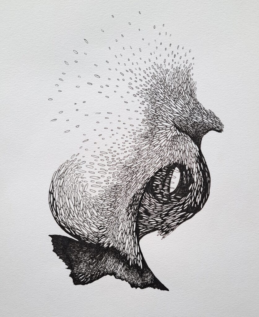 Dessin du jour, lucie delperie64