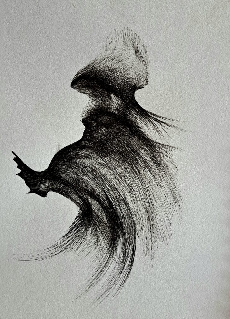 Dessin du jour, lucie delperie67