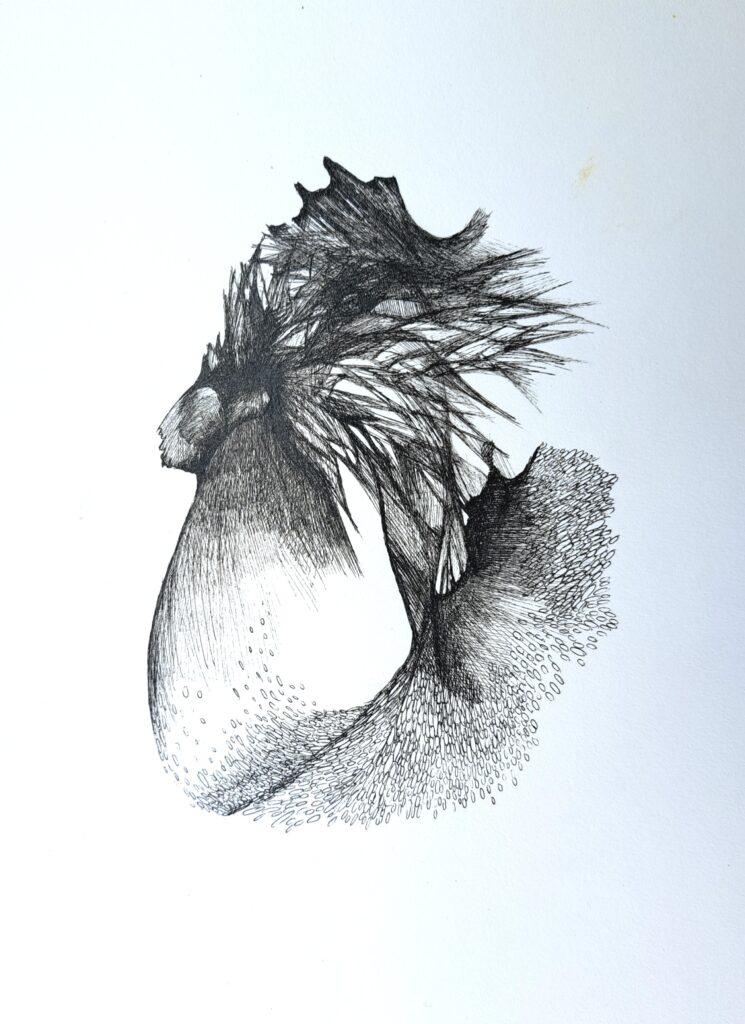 Dessin du jour, lucie delperie69