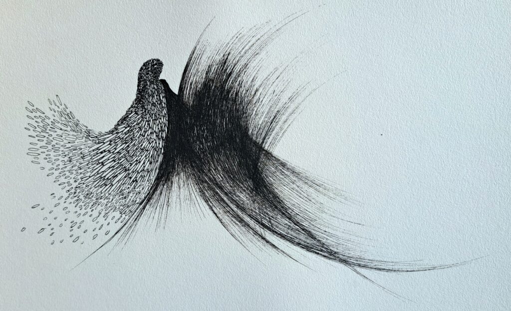 Dessin du jour, lucie delperie70