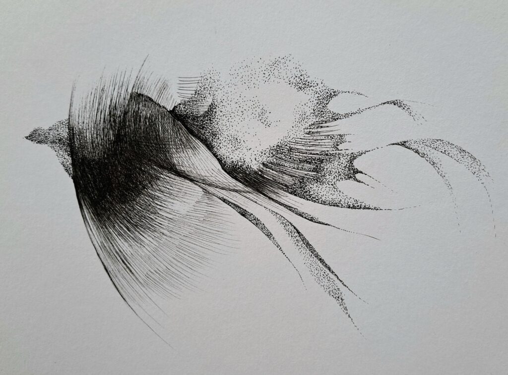 Dessin du jour, lucie delperie72