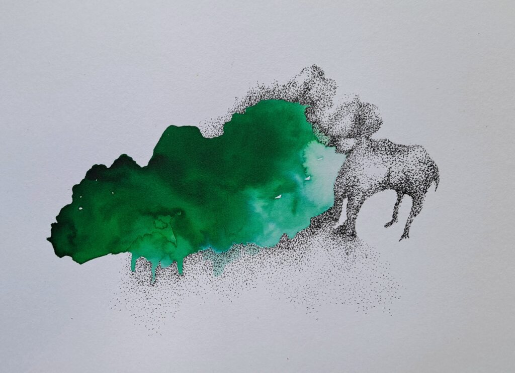Dessin du jour, lucie delperie76