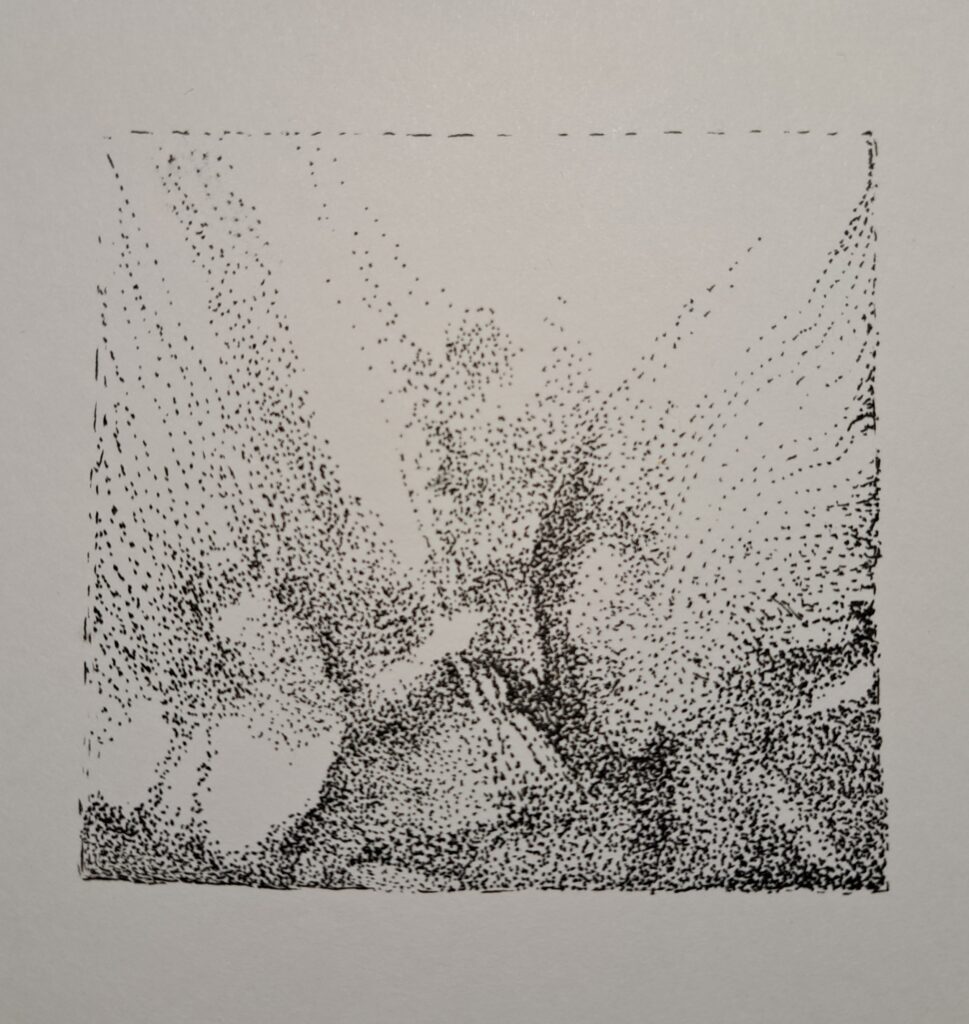 Dessin du jour, lucie delperie83