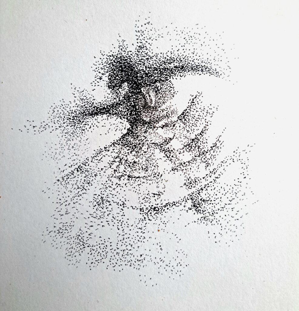 Dessin du jour, lucie delperie97